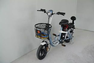 臺山街坊們，你的電動自行車今天登記了嗎？